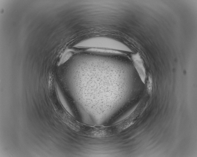 X0000081580604200702051241