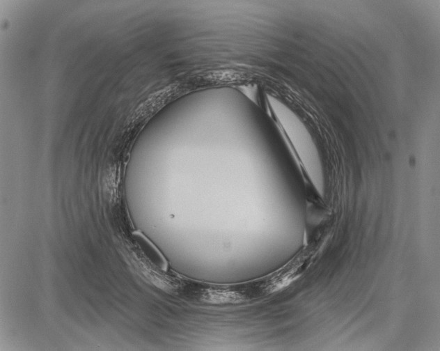 X0000081580605200702051241