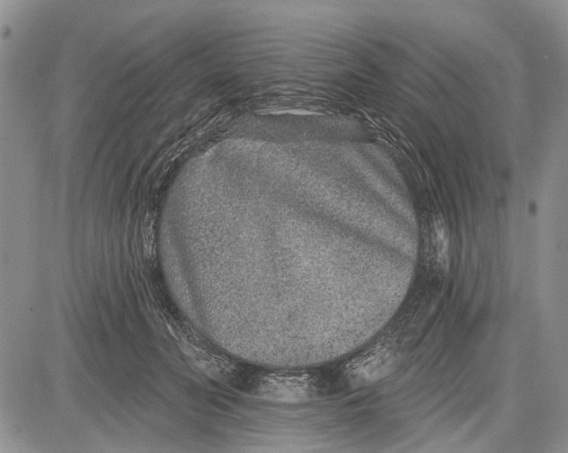 X0000081580606200702051241