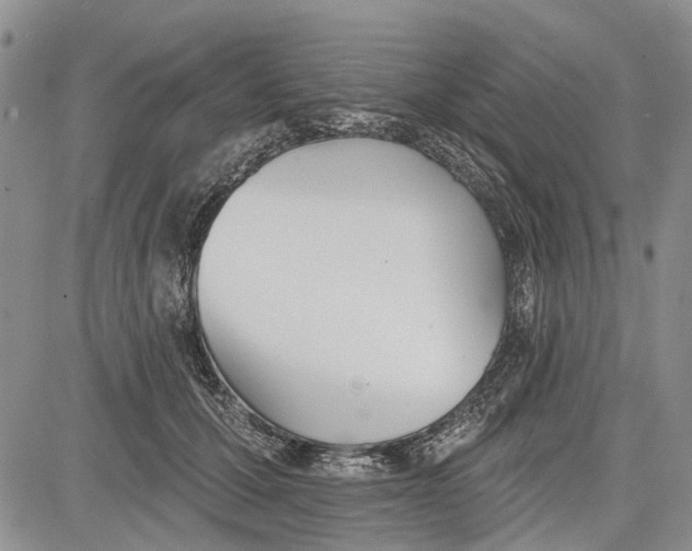 X0000081580607200702051241