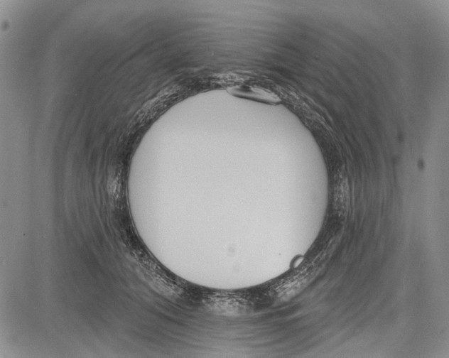 X0000081580608200702051241