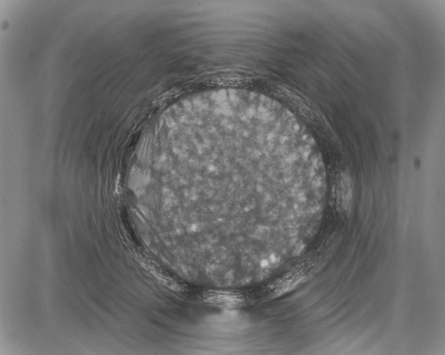 X0000081580610200702051241