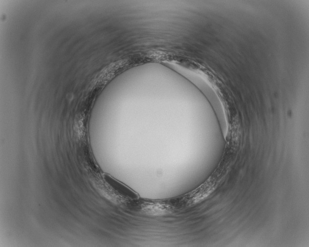 X0000081580611200702051241