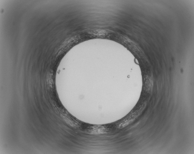 X0000081580612200702051241