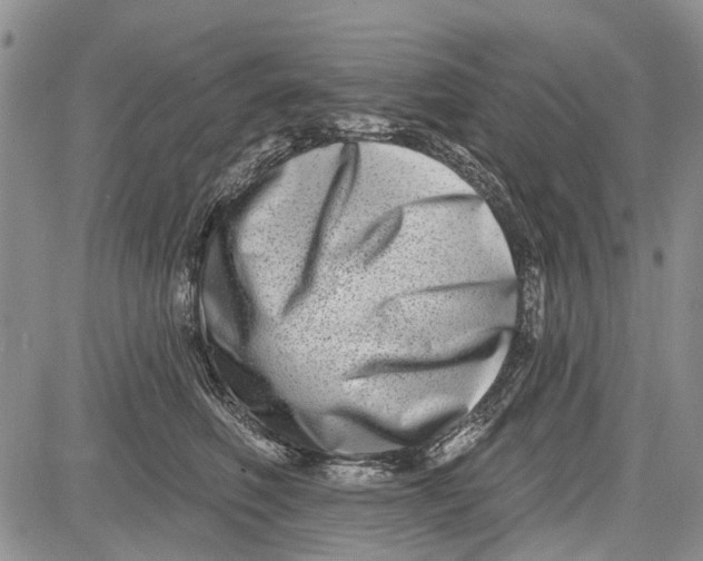 X0000081580614200702051241