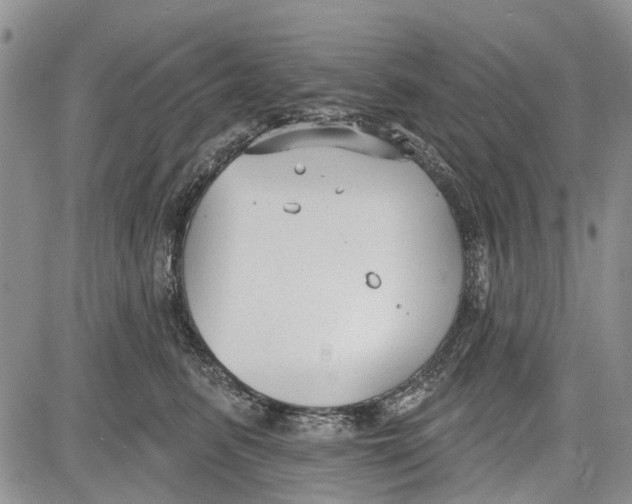 X0000081580615200702051241