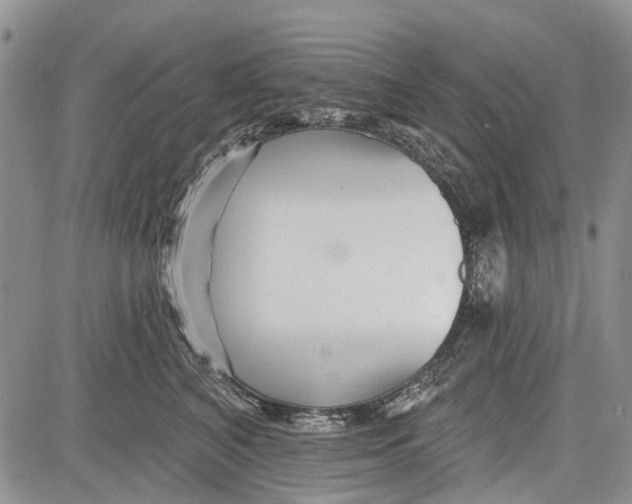 X0000081580616200702051241