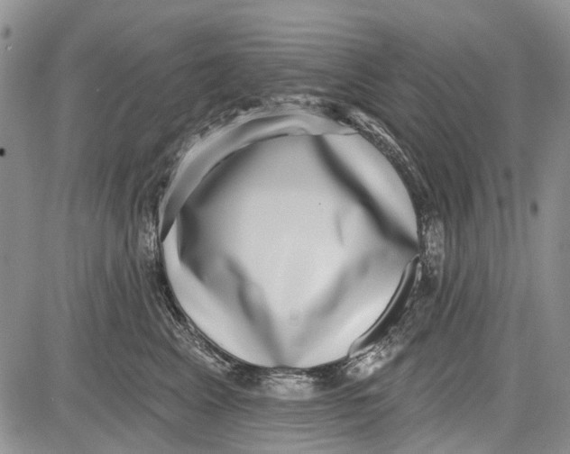 X0000081580617200702051241