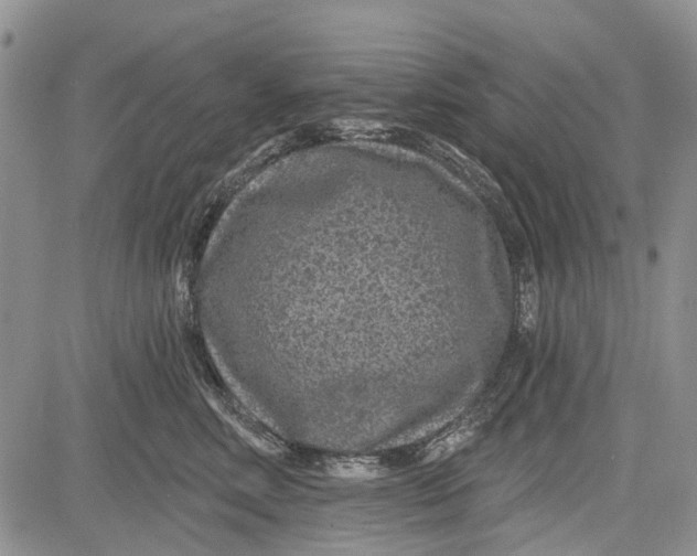 X0000081580618200702051241