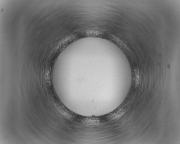 X0000081580619200702051241