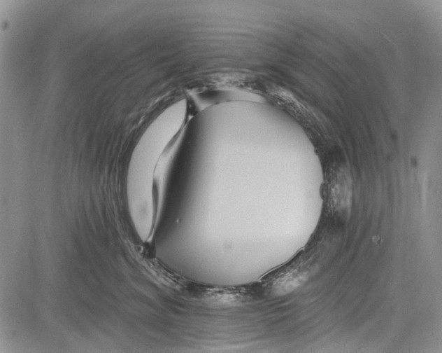 X0000081580620200702051241