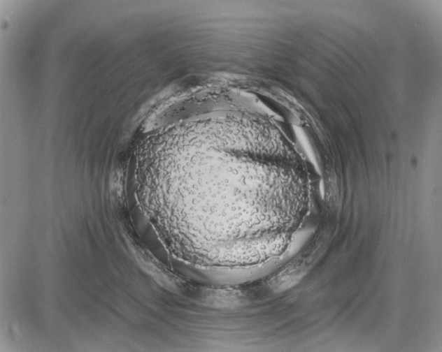 X0000081580621200702051241