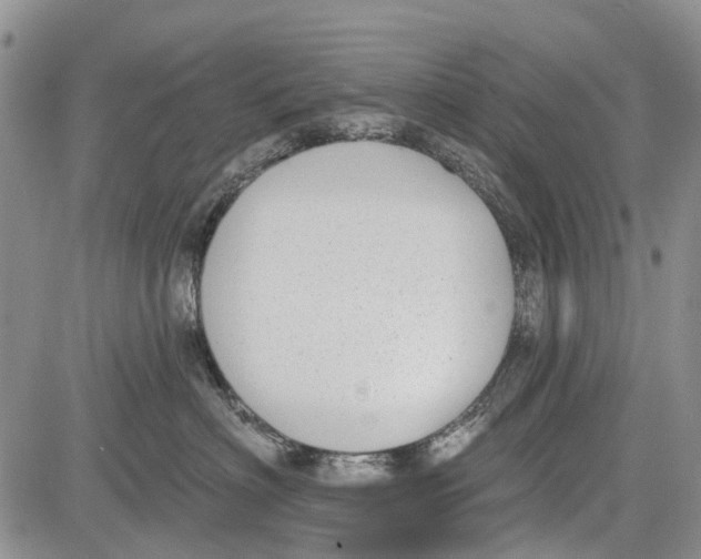 X0000081580622200702051241