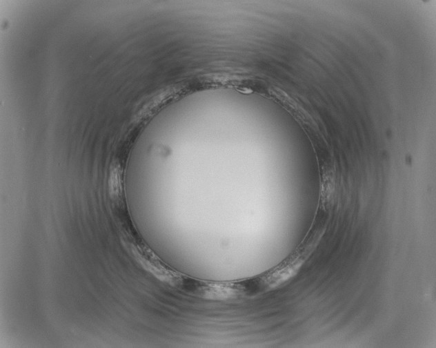 X0000081580623200702051241