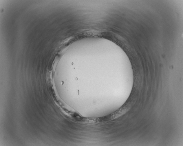 X0000081580624200702051241