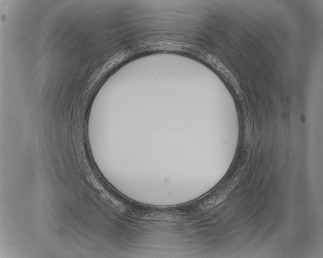 X0000081580625200702051240