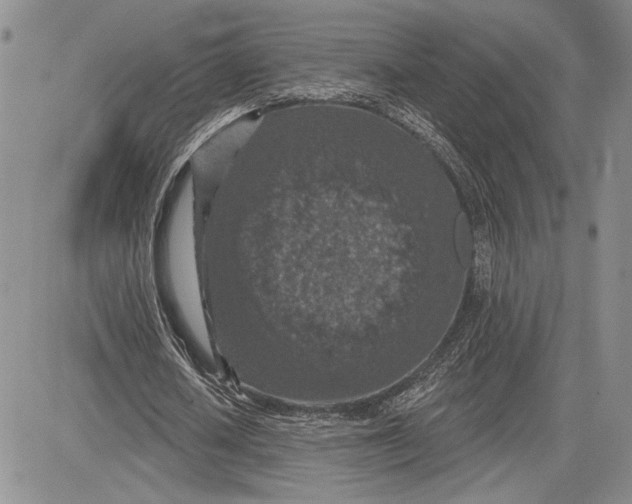 X0000081580626200702051240