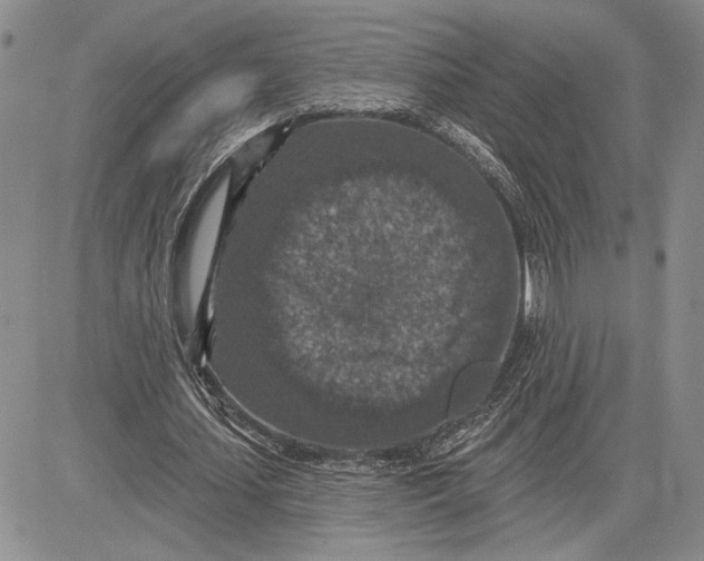 X0000081580627200702051240