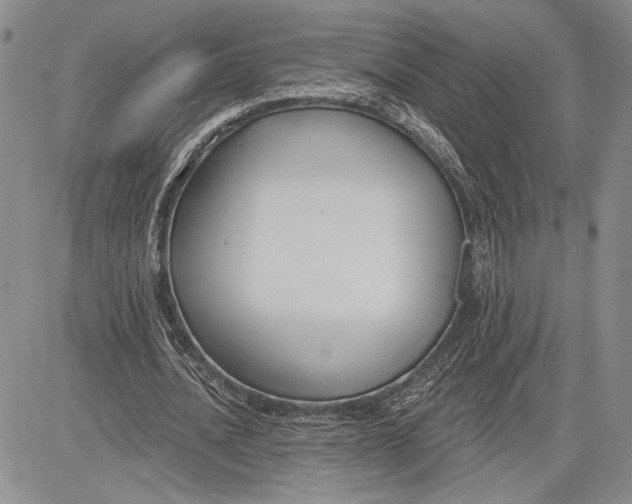 X0000081580628200702051240