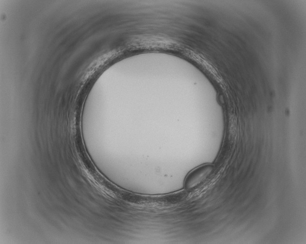 X0000081580629200702051240