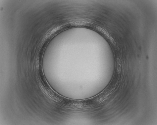 X0000081580631200702051240