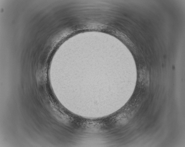 X0000081580632200702051240