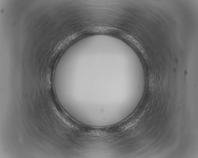 X0000081580633200702051240