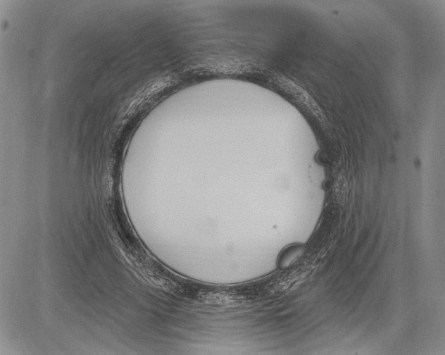 X0000081580635200702051240