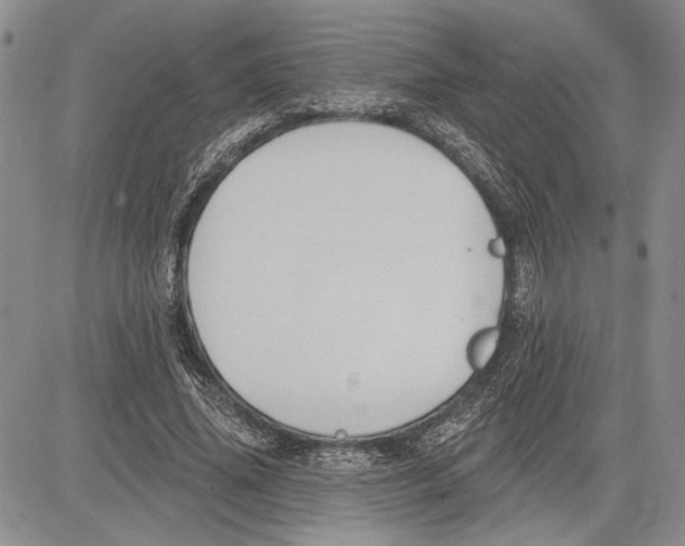 X0000081580636200702051240