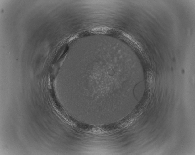 X0000081580641200702051240