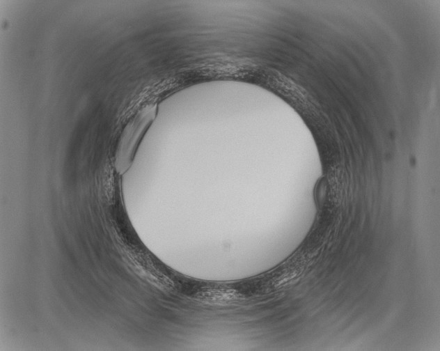 X0000081580642200702051240