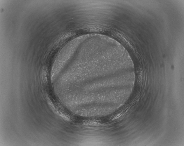 X0000081580643200702051240