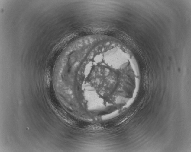 X0000081580644200702051240