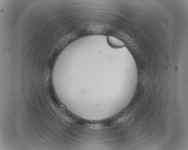 X0000081580645200702051240