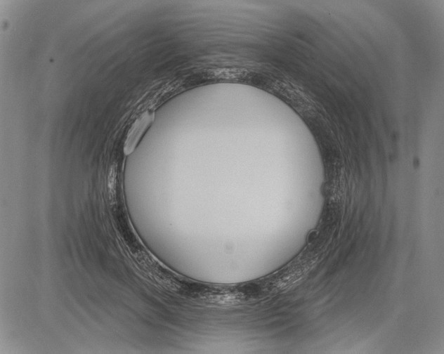 X0000081580646200702051240