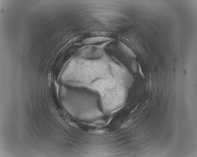 X0000081580647200702051240