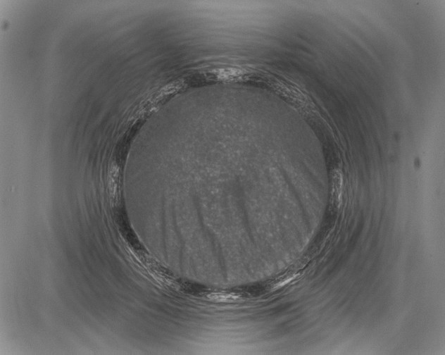 X0000081580650200702051240