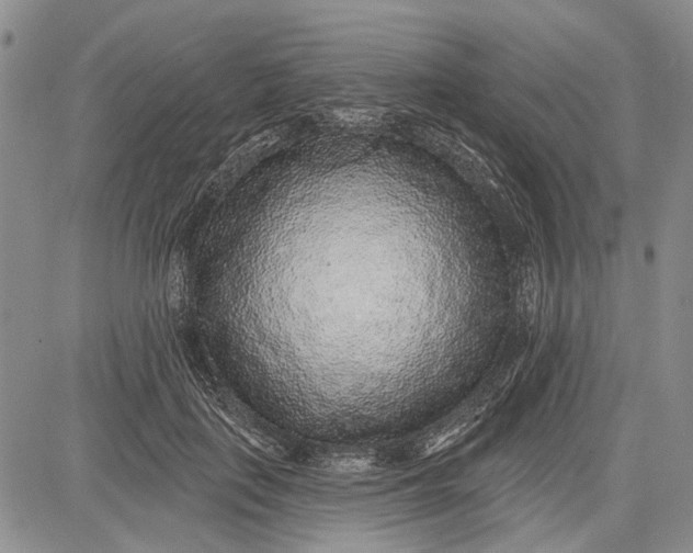 X0000081580651200702051240