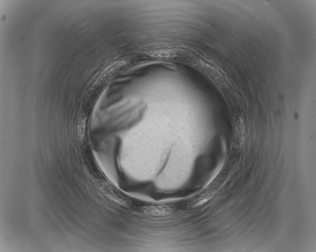 X0000081580652200702051240