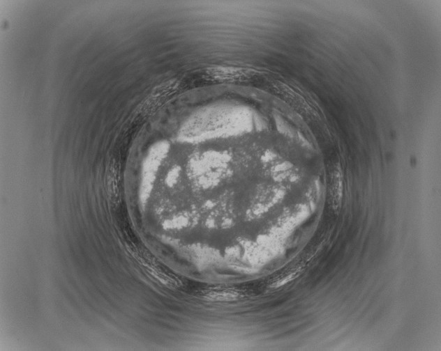 X0000081580653200702051240