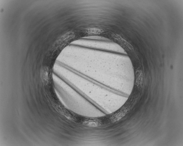 X0000081580655200702051240