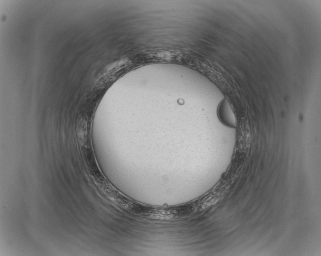 X0000081580656200702051240