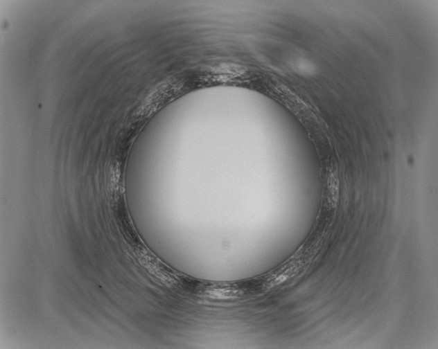 X0000081580657200702051240