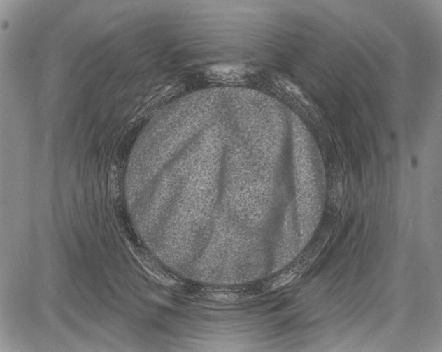 X0000081580658200702051240