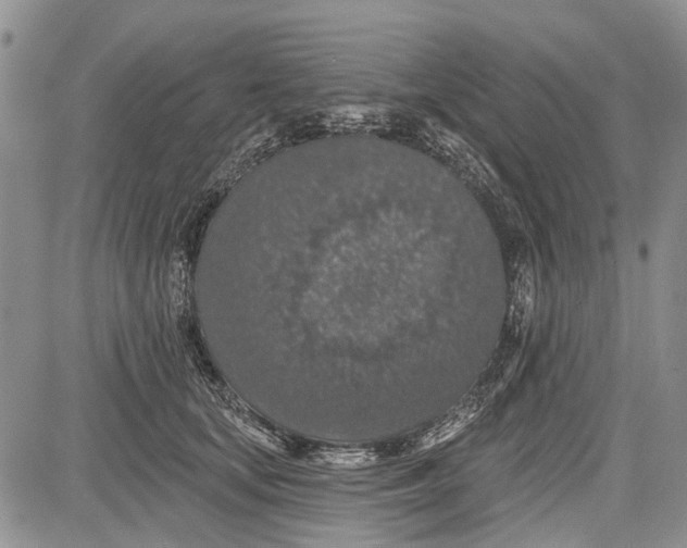 X0000081580659200702051240