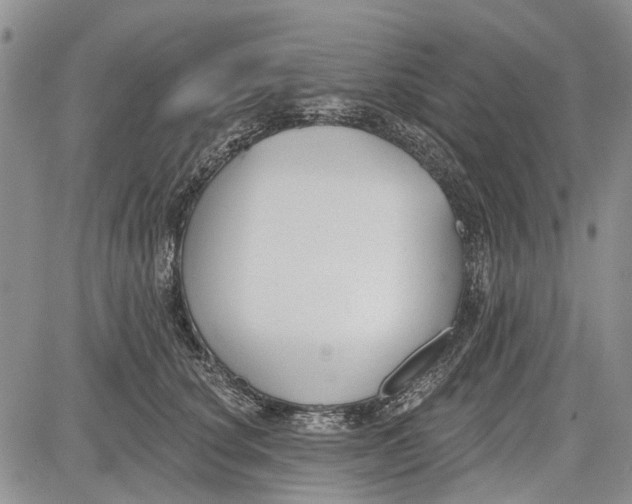 X0000081580660200702051240