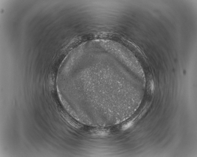 X0000081580661200702051240