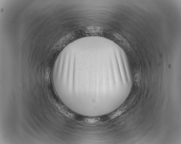 X0000081580662200702051240