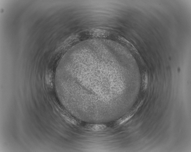 X0000081580663200702051240