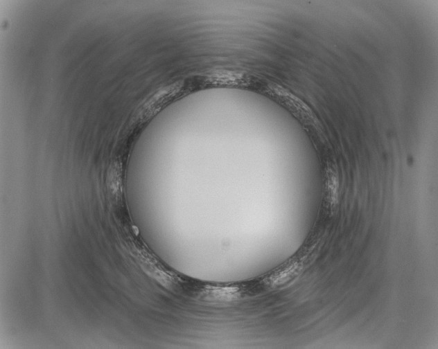 X0000081580665200702051240